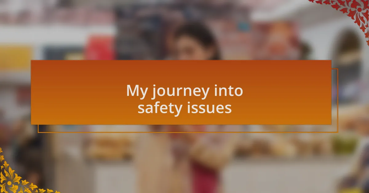 My journey into safety issues