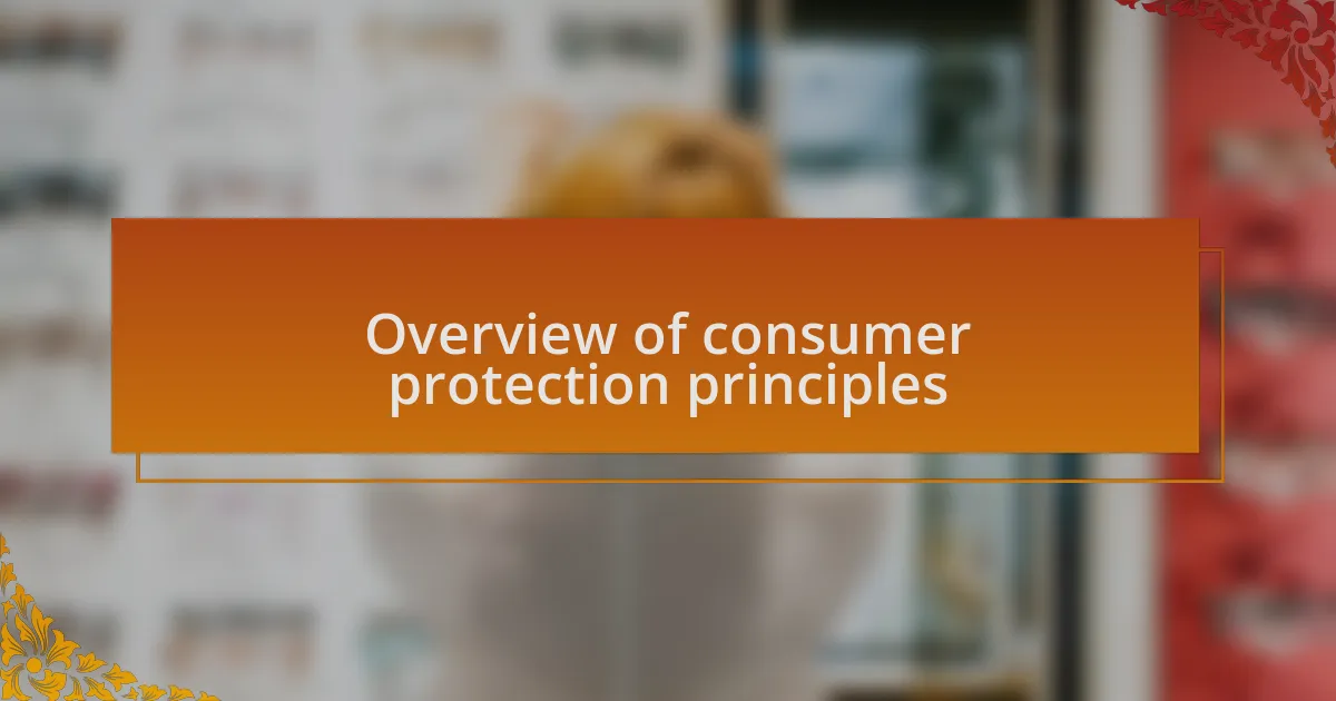 Overview of consumer protection principles