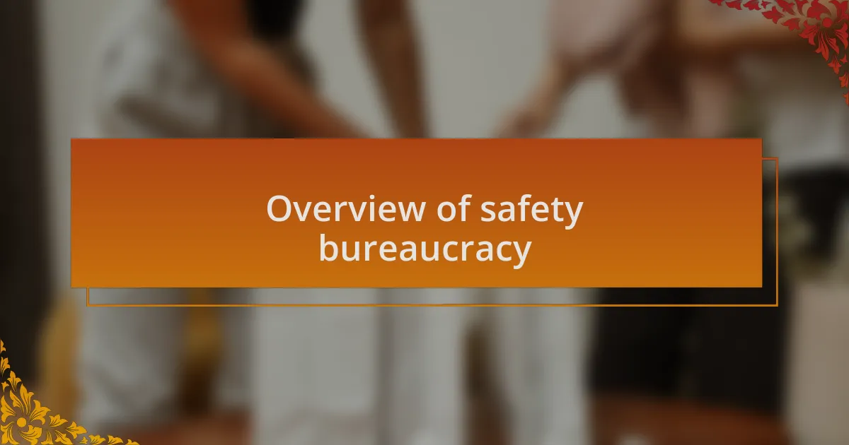 Overview of safety bureaucracy