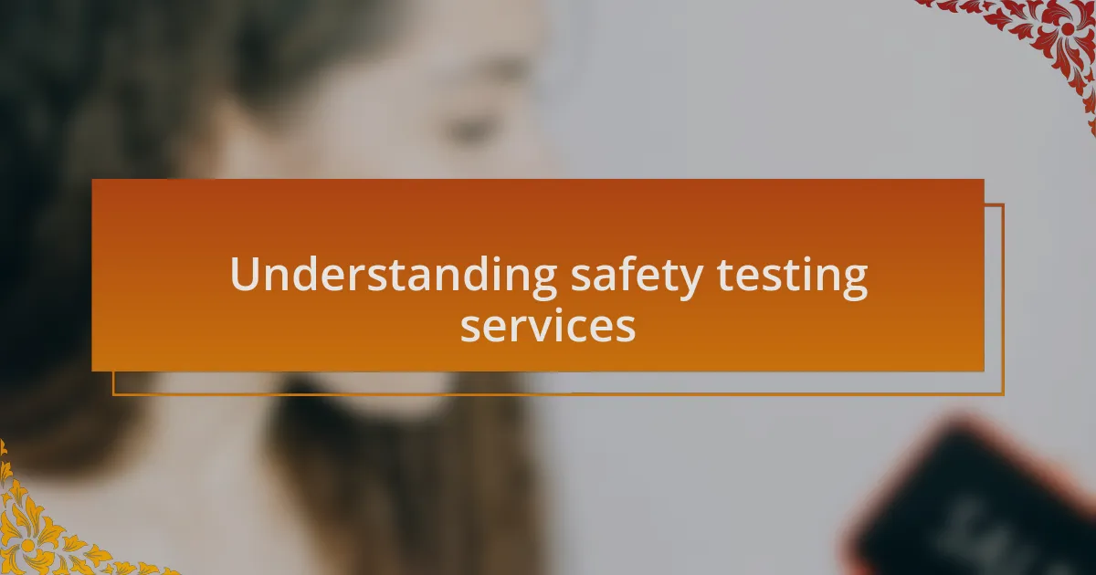 Understanding safety testing services